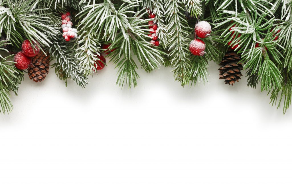 Christmas tree branches background - Elizabethan Catering Services Ltd.